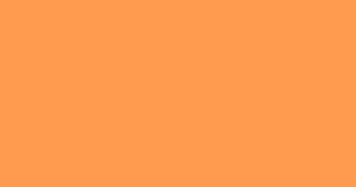 #fe9b50 neon carrot color image