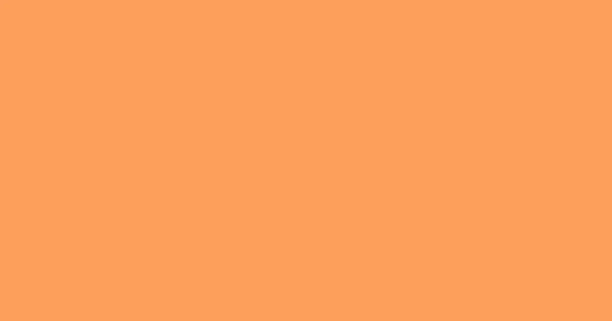 #fe9f5b atomic tangerine color image