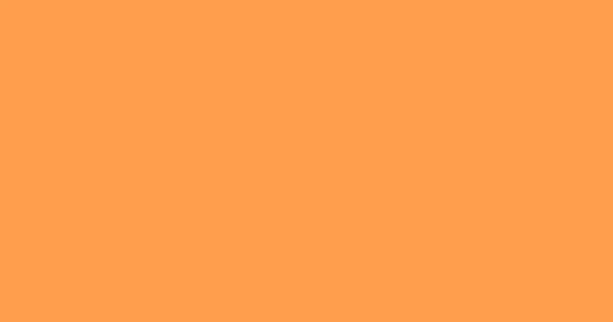 #ff9f4b neon carrot color image