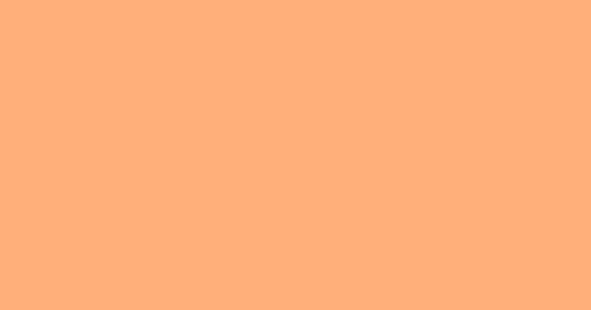 ffaf76 - Atomic Tangerine Color Informations